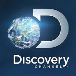 Discovery API