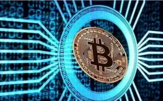 Saga 联创：每条链都是一座孤岛，加密货币面临流动性危机