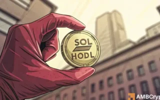 Solana的价格为150美元:短期风险,但为什么要考虑hodling sol